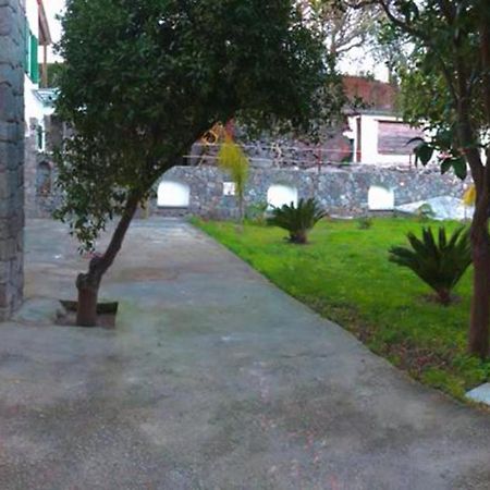 B&B Carpe Diem Domus Ischia Esterno foto