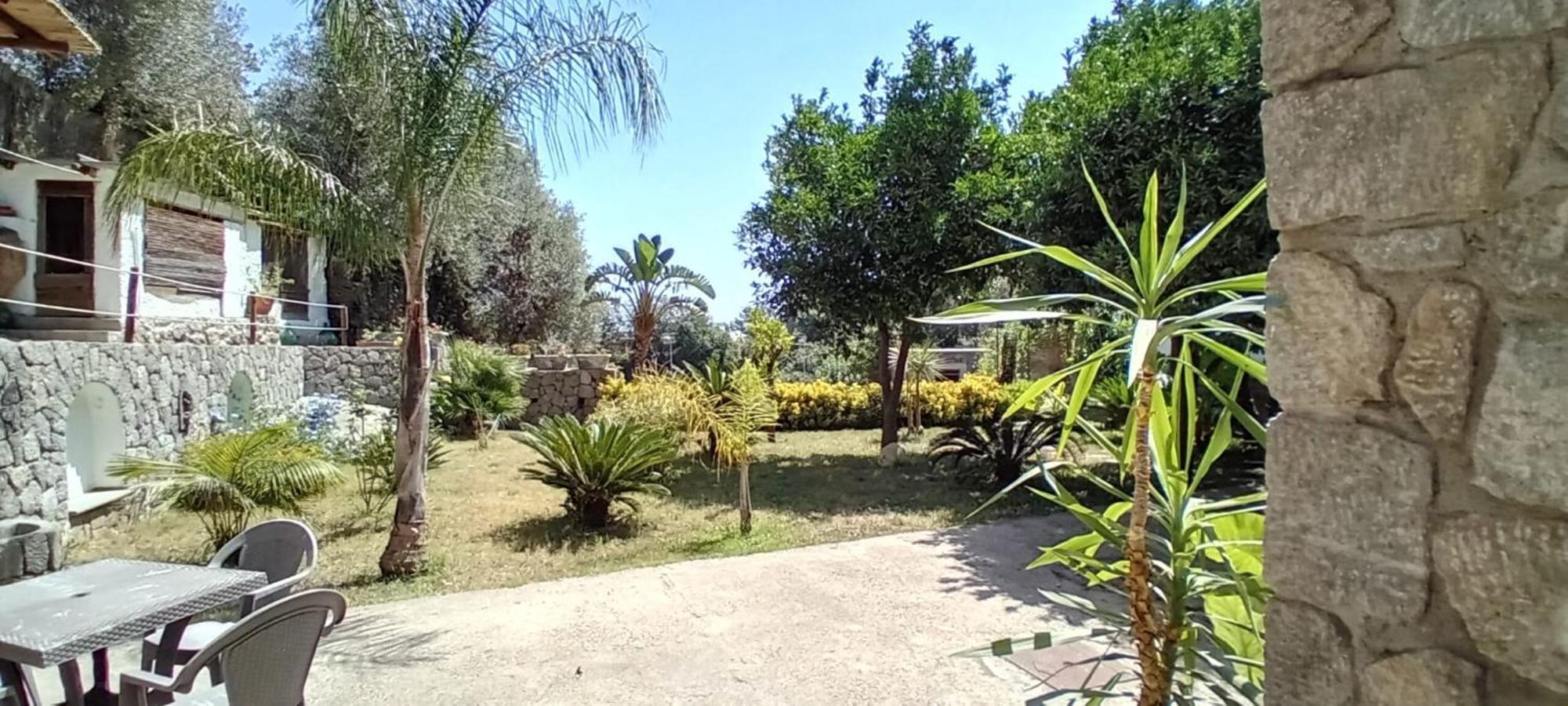 B&B Carpe Diem Domus Ischia Esterno foto
